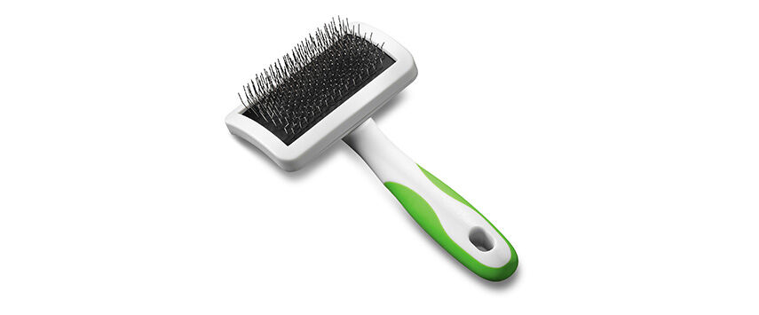 A Selection of Pet Grooming Brushes